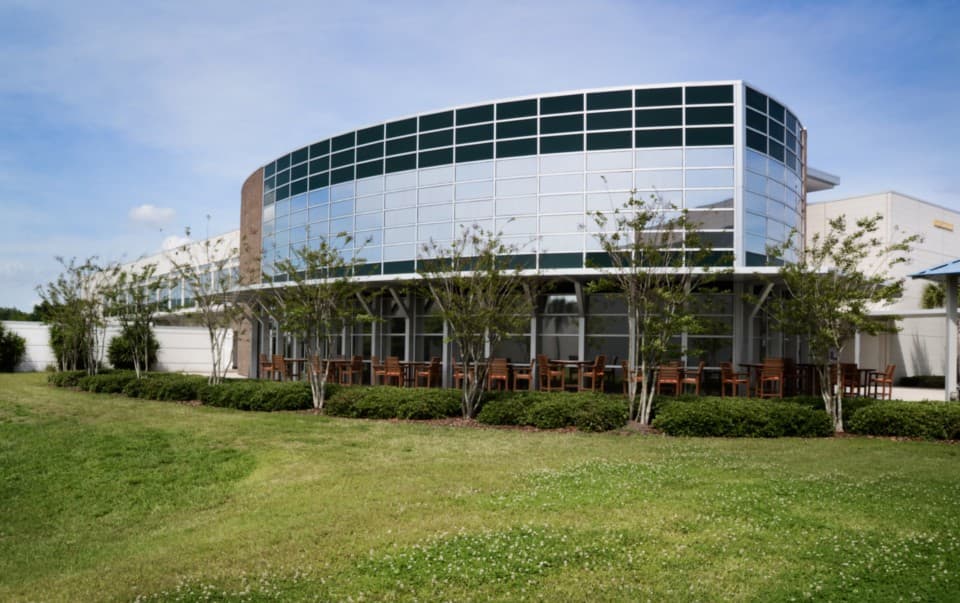 Neutral Interior Window Films